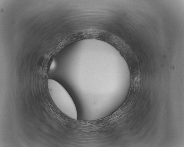 X0000085070772200703051057