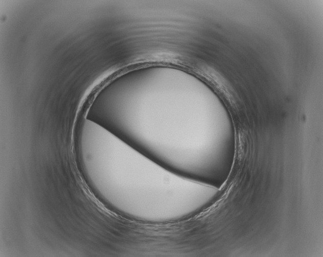 X0000085070780200703051057