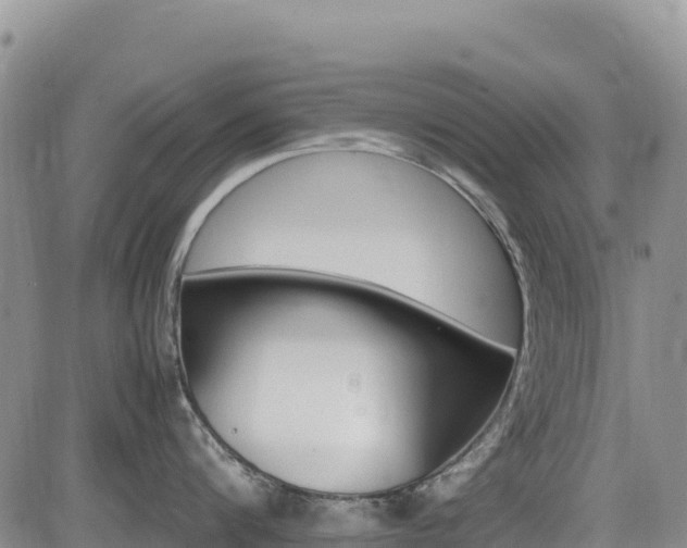 X0000085070816200703051057