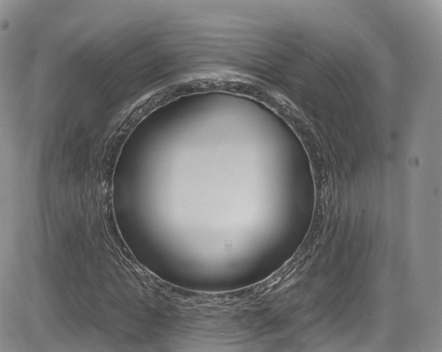 X0000085070822200703051056