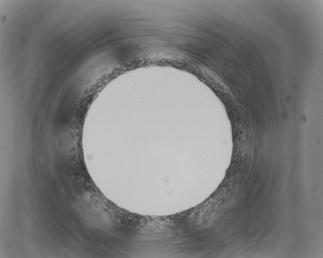 X0000085070824200703051056