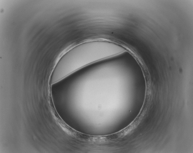 X0000085070858200703051056