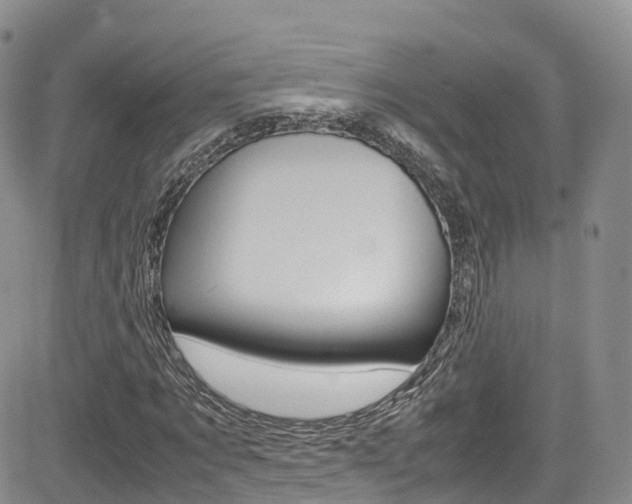 X0000085070869200703051056