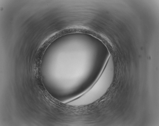 X0000085070872200703051056
