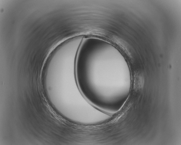 X0000085070876200703051056
