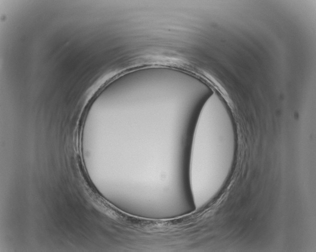 X0000085070891200703051055