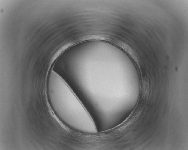X0000085070898200703051055
