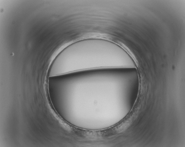 X0000085070901200703051055