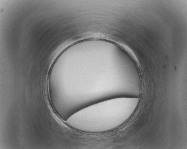 X0000085070903200703051055