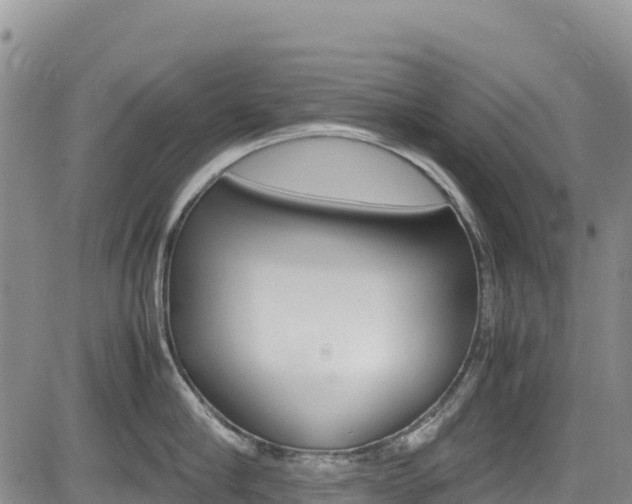 X0000085070910200703051055
