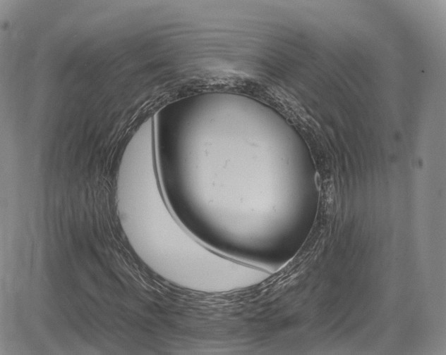 X0000085070916200703051054
