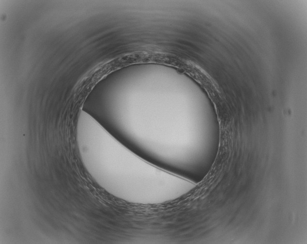 X0000085070919200703051054