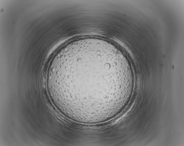 X0000085070925200703051054