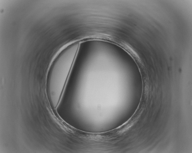 X0000085070940200703051055