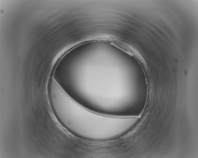 X0000085070944200703051055