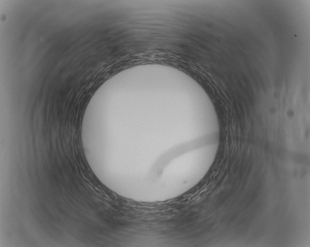 X0000085071010200703051053