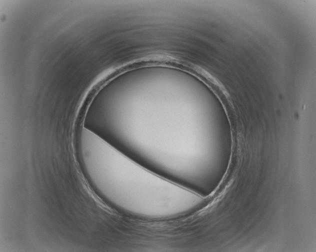 X0000085071029200703051053