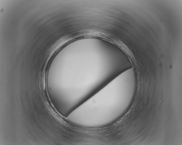 X0000085071036200703051053
