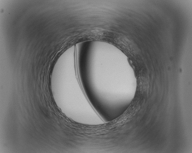 X0000085071057200703051053