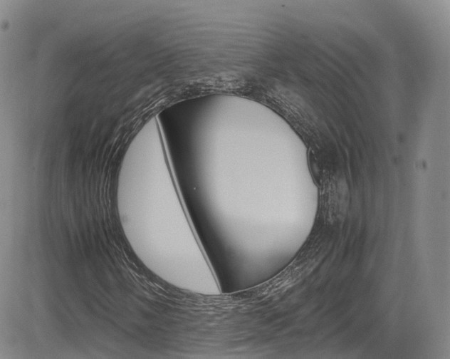 X0000085071058200703051052
