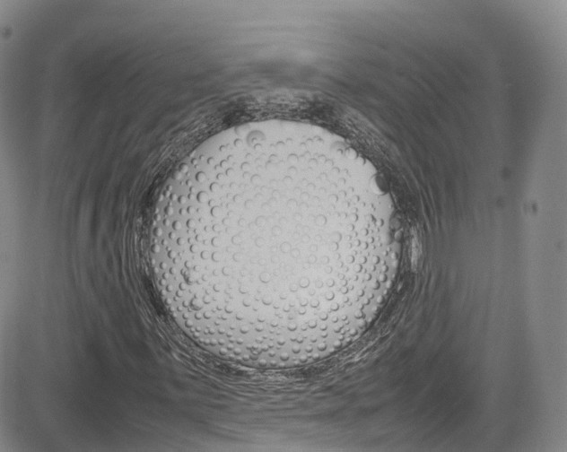 X0000085071059200703051052