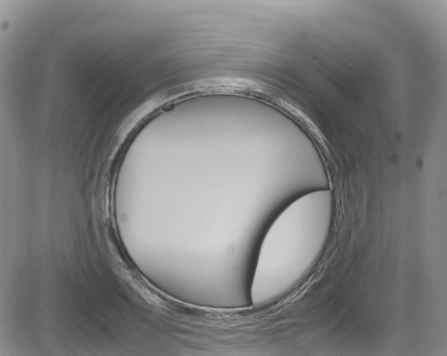 X0000085071083200703051052