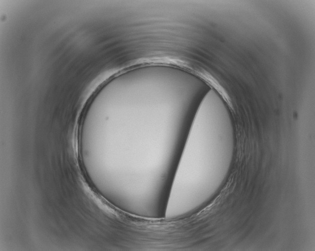 X0000085071084200703051052