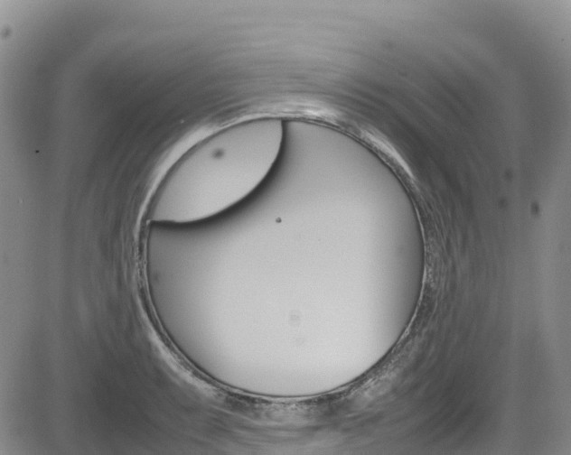 X0000085071087200703051052