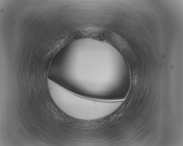 X0000085071108200703051051