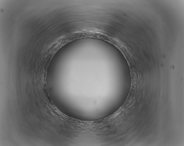 X0000085071110200703051051