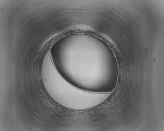 X0000085071112200703051051