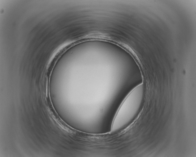 X0000085071123200703051051