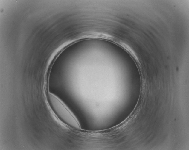 X0000085071136200703051051
