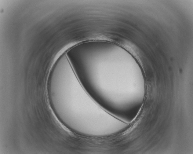 X0000085071141200703051052