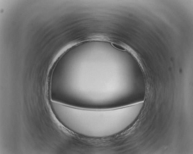 X0000085071147200703051052