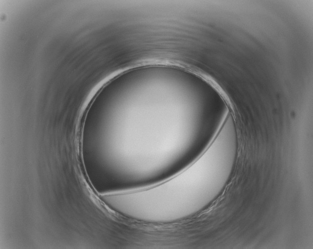 X0000085071148200703051052