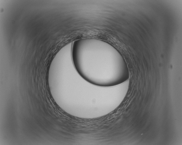 X0000085071153200703051051