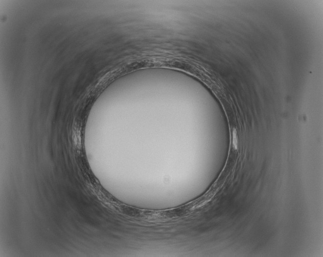 X0000085071155200703051051