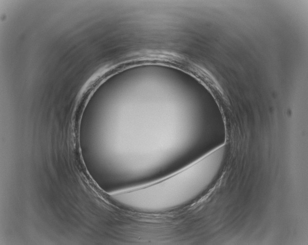 X0000085071172200703051051