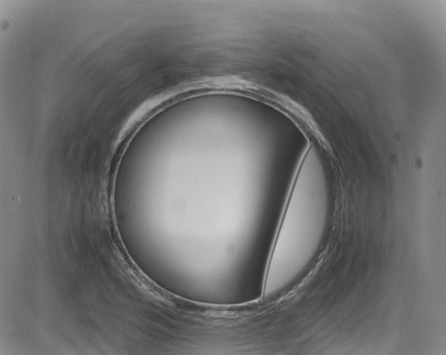 X0000085071176200703051051
