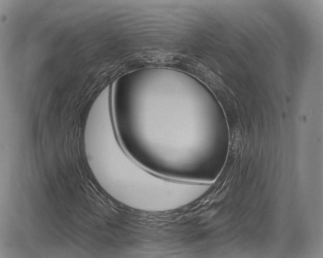 X0000085071202200703051049