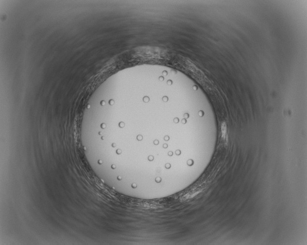 X0000085071203200703051049
