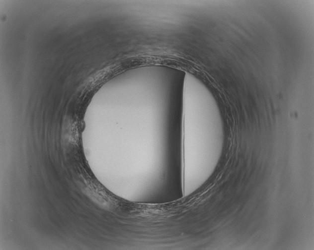 X0000085071204200703051049