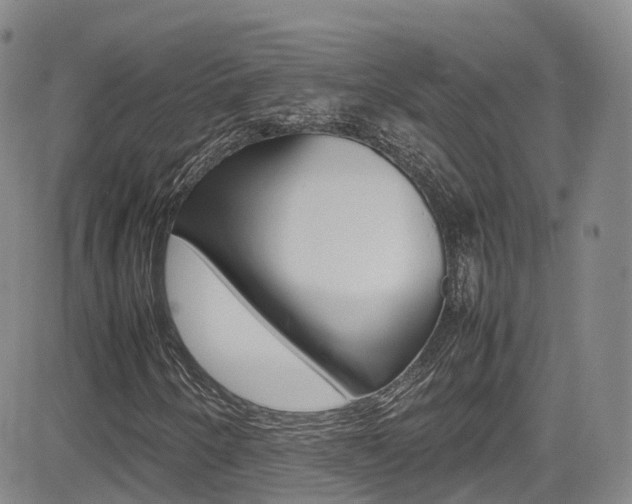 X0000085071250200703051049