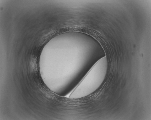 X0000085071252200703051049