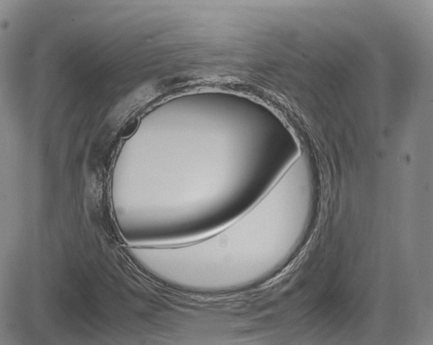 X0000085071257200703051049