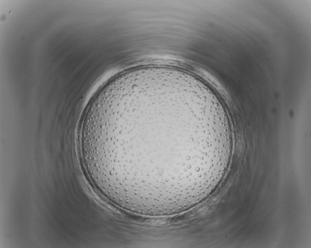 X0000085071283200703051049