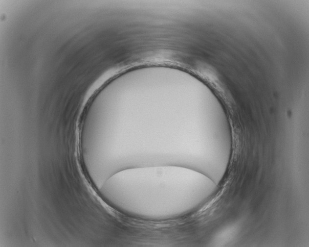 X0000085071286200703051049