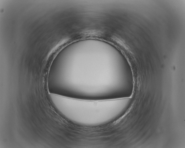 X0000085071309200703051048