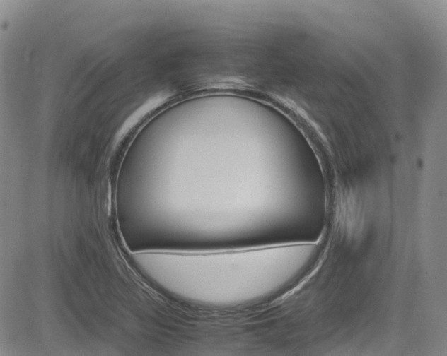 X0000085071317200703051048